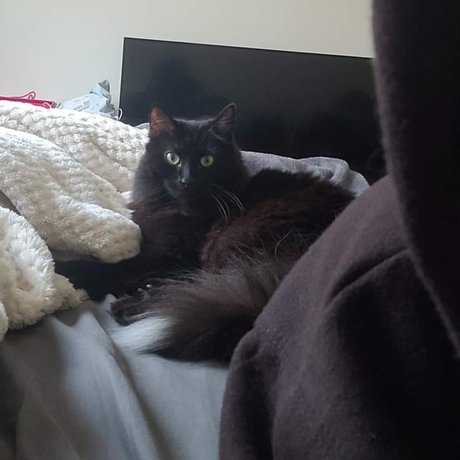 Camie Beilschmidt freie porno galerie