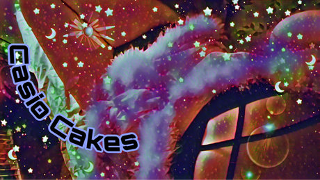 Casio LSDreamz exklusive kunst galerien