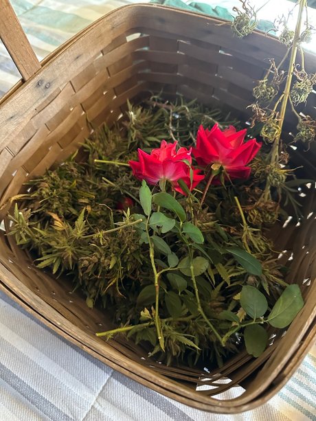 Zander Rae kunst xxx bild