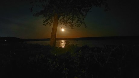 MrDreamCumTru81 exklusive porno foto