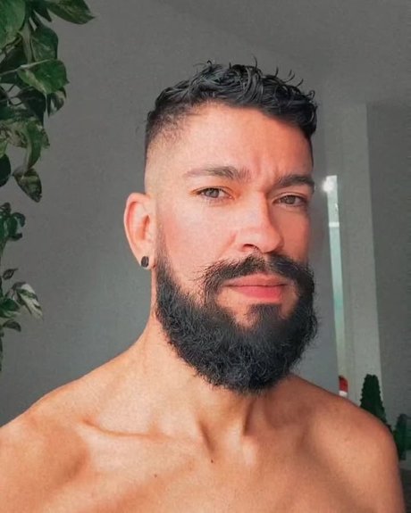 Petter Cardoso hd schöne bilder