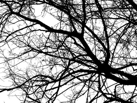 Morgan Modeus erotische top bilder