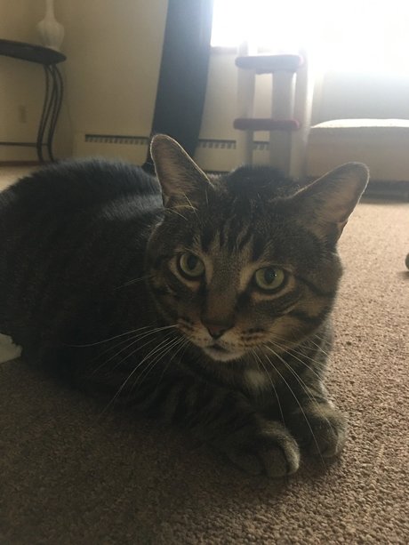 herb1982 kostenlose pornografische foto