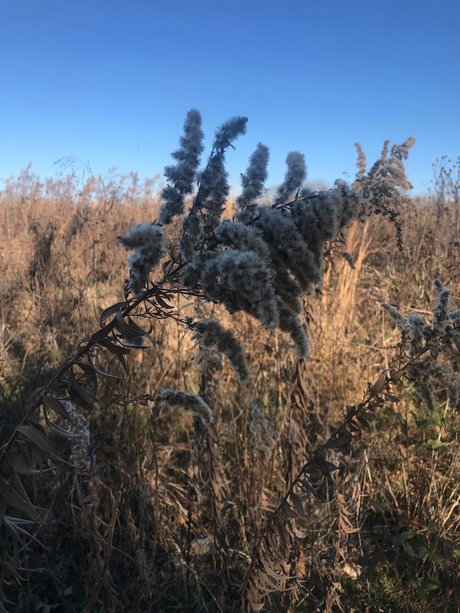 harper xxx exklusive archiv