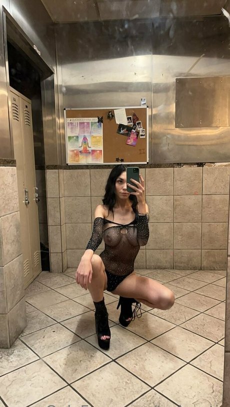 toriexotic Profilbild