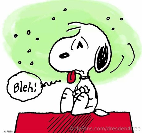 dresden4free freie exklusive bilder