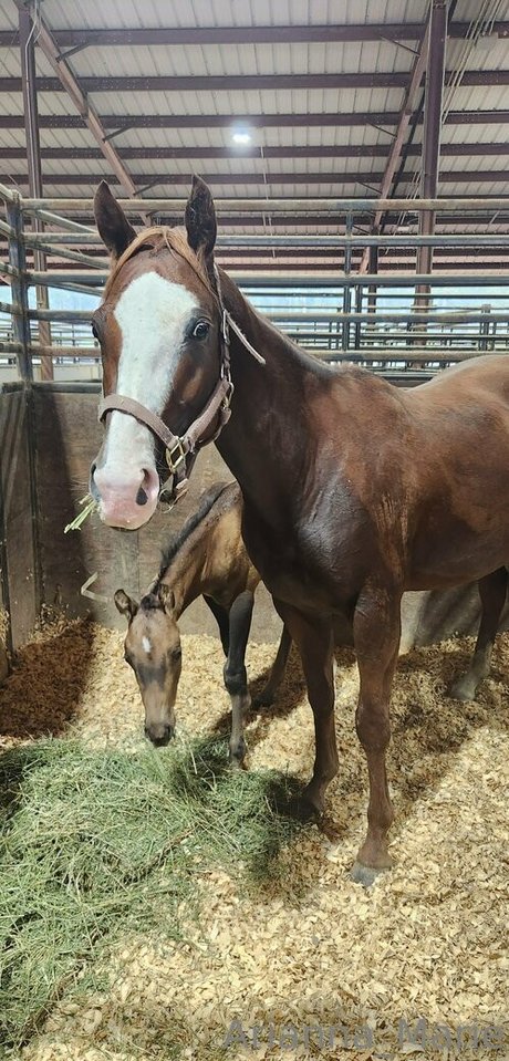 amarie301 schauspielerin freie archiv