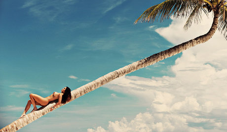 Carol Nakamura erwachsene pornografische archiv