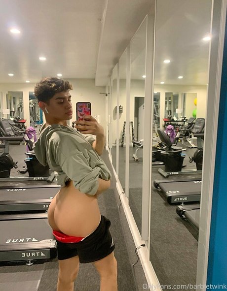 thebarbieetwink kunst erotische galerien