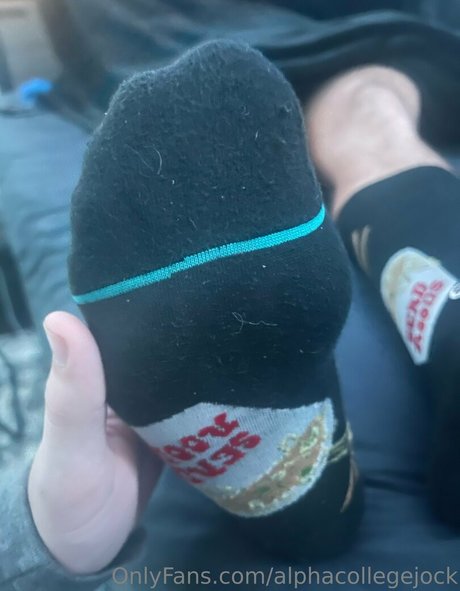 alphacollegejock beste kostenlose galerien