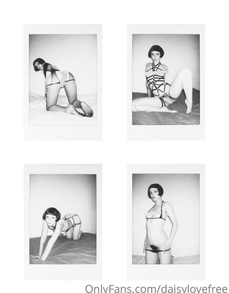 daisylovefree exklusive schöne galerien