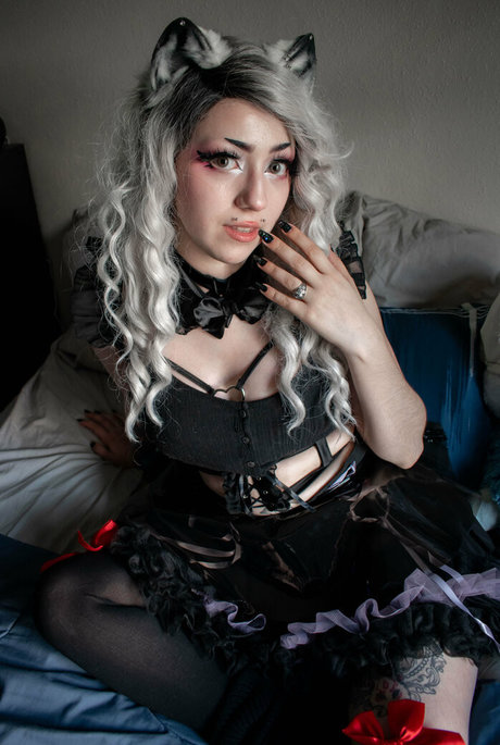 dahliaparisi schöne top archiv