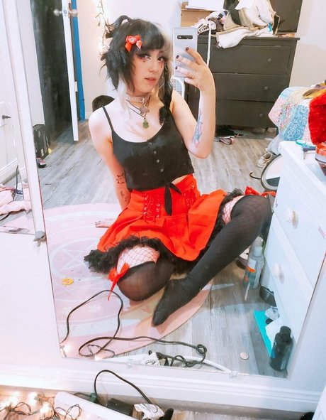 dahliaparisi erwachsene hübsche bilder