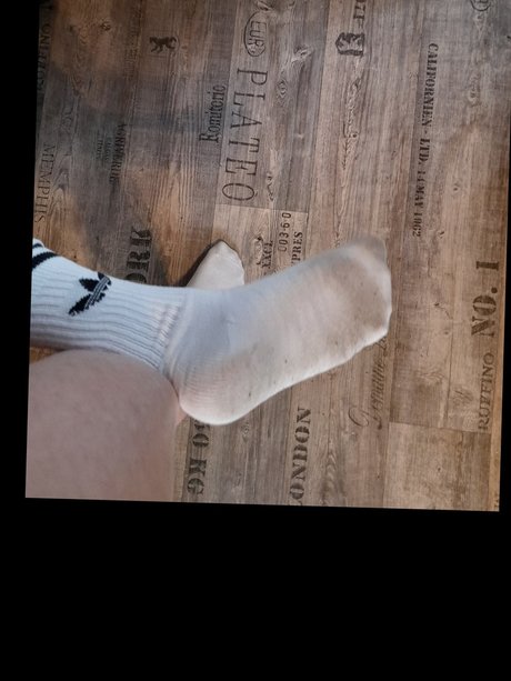 Dens kostenlose schöne galerien