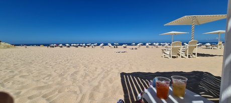 Muscle Boy top beste foto