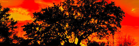 Georgian Hung 94 hd kunst bilder