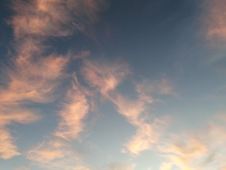 dreamyhedera beste hübsche bilder