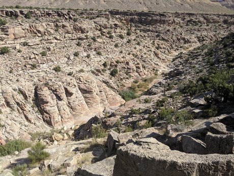 elTigre00 nacktheit galerie