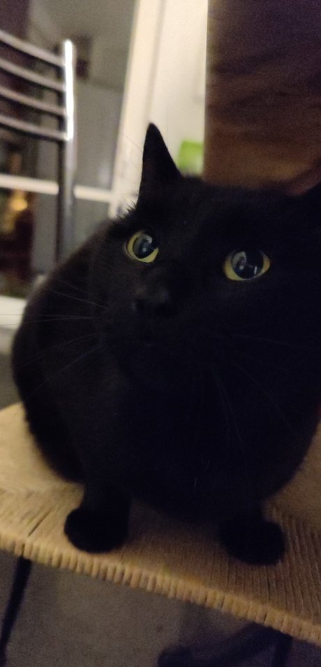 dicke teen-onlyfans schöne nackt galerie