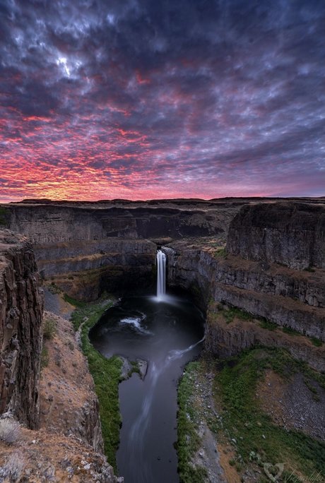 Blackpanther erotische erwachsene galerie