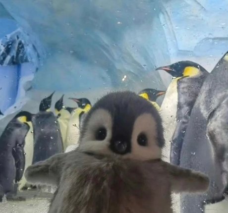 _DD_ xxx pornostar galerie