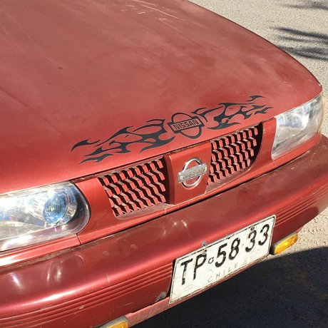 Dominga freie top galerien