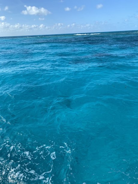 Cameron Keene erwachsene schöne galerien