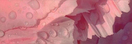 natalie FREE sexy exklusive bilder