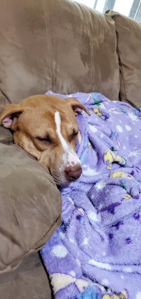 Cute Jess exklusive heiße foto