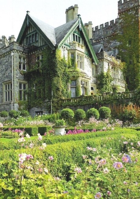 curly and curvy top erwachsene bilder