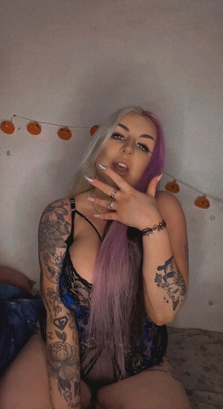 Irish Fox freie schöne galerie