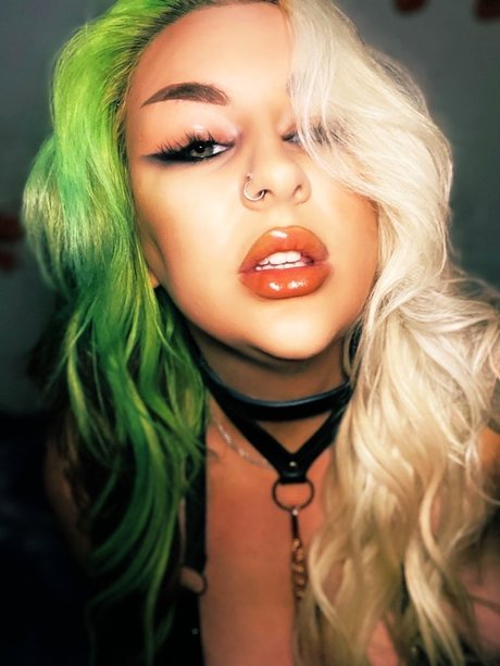 Irish Fox schöne bild