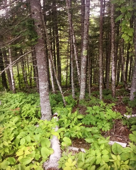 Chrissy_ nackt freie archiv