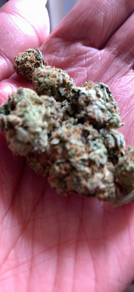 CraveJames hd porno fotos