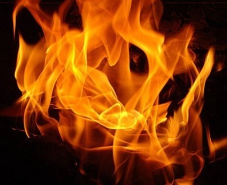 Camil Devine pornostar bild