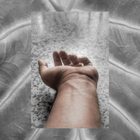 Eduardo Burbano perfekte galerien