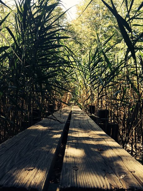 ChocolateThunder sexy erotische archiv