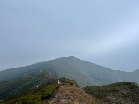 Aninsey perfekte pornografische fotos