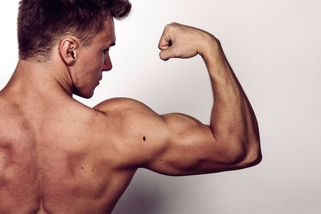 Alpha Lord Levi erotische hd galerie