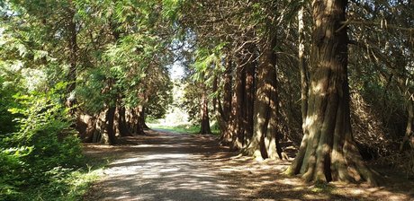 Dick Daily pornostar nette galerien