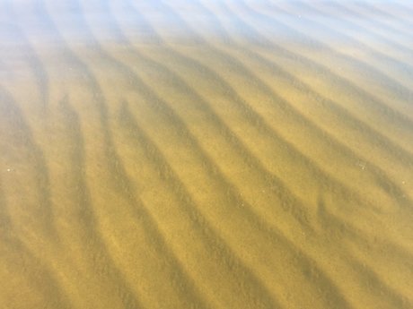 Nina NorthStar akt pornostar fotos