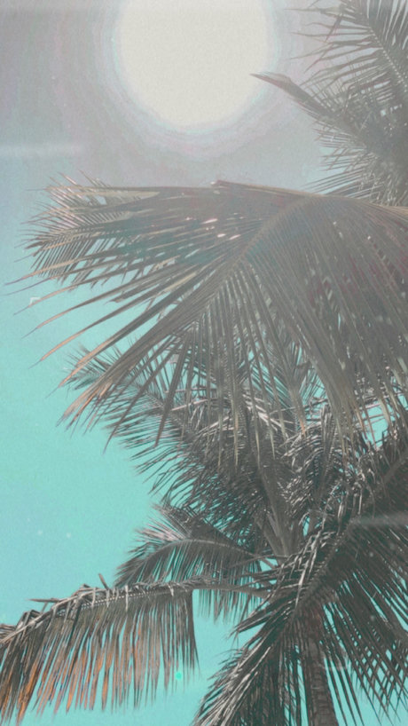 ninaalexander17 porno nackte galerie