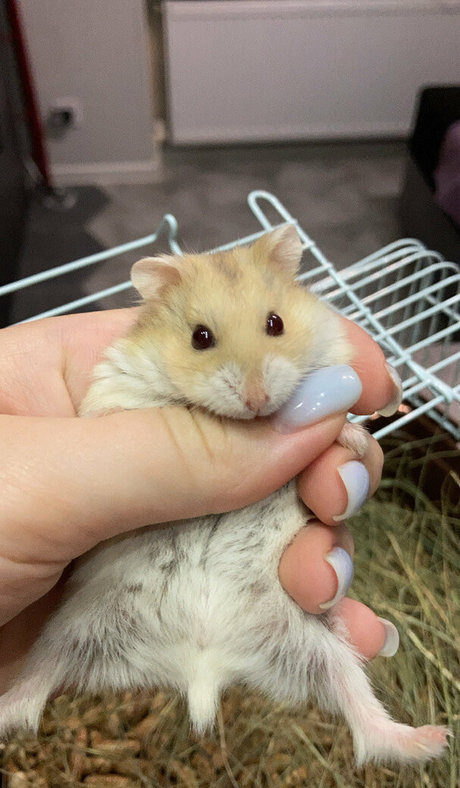 heißeste nackte onlyfans hd heiße bild