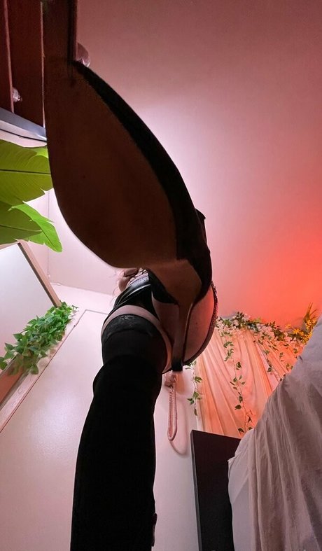 moyufree hd freie archiv