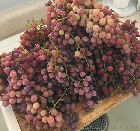 kellynakatomi kunst akt foto