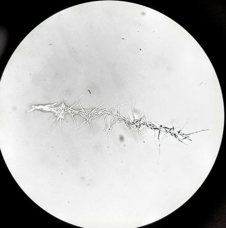 freesexypsychedelic top perfekte galerie