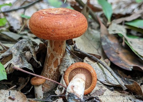 freesexypsychedelic xxx erwachsene foto