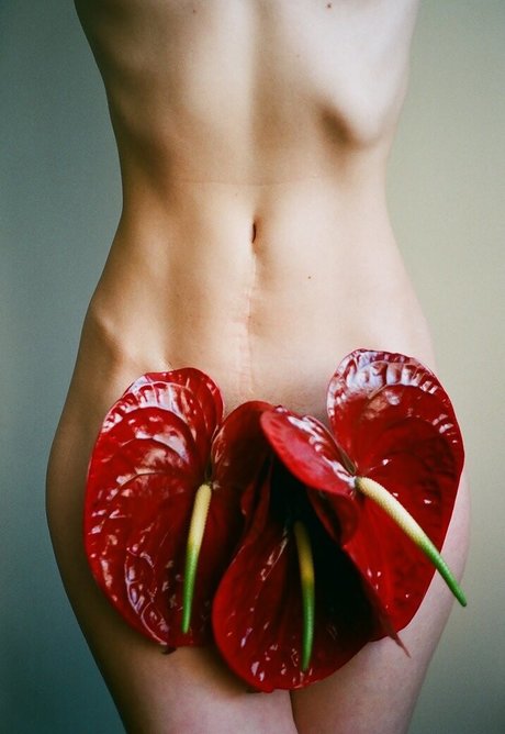 Kate Ri schöne exklusive galerien