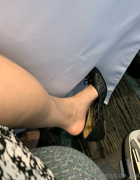 coy koi model erwachsene bild