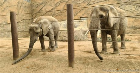 cocolinaa69 xxx perfekte foto